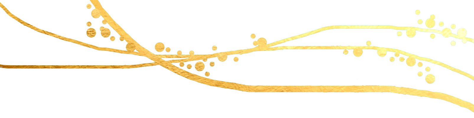 gold-line-divider-two